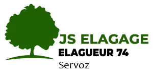 JS Elagage