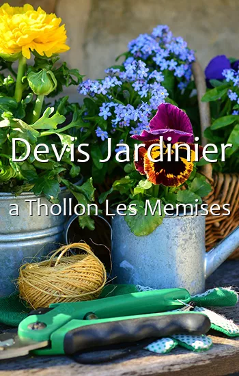 Devis Jardinier a Thollon Les Memises