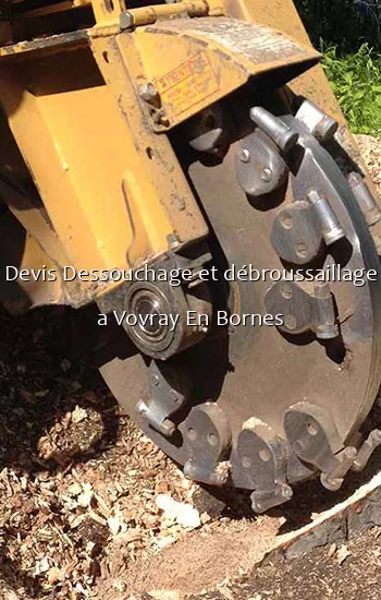 Devis Dessouchage et débroussaillage a Vovray En Bornes