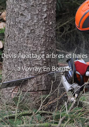 Devis Abattage arbres et haies a Vovray En Bornes