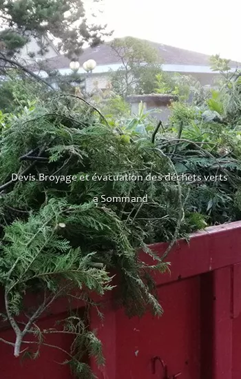Devis Broyage et évacuation des déchets verts  a Sommand