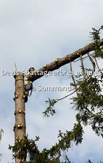 Devis Abattage arbres et haies a Sommand