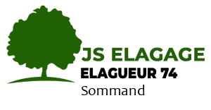 JS Elagage