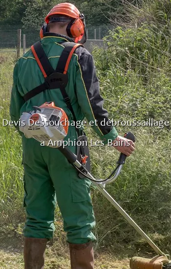 Devis Dessouchage et débroussaillage a Amphion Les Bains