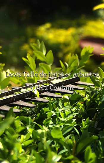 Devis Taille de haies et arbustes a Praz Coutant