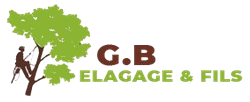 elagage-g-b-elagage-fils